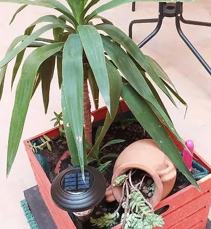 Apartment A Casa *