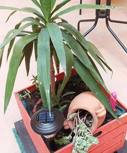 Διαμέρισμα A Casa *